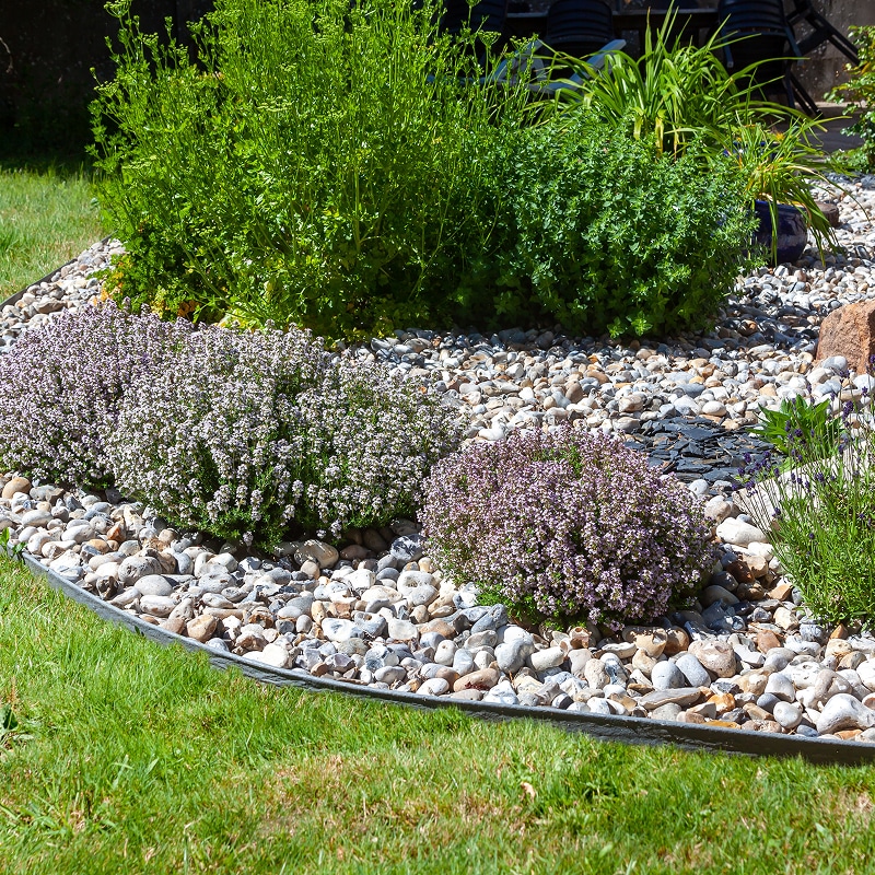 Aménagement Jardin de Gravier avec Plantes Aromatiques Aménagement d'un jardin de gravier avec buissons de thym en fleurs, arbustes verts et bordure métallique courbe.