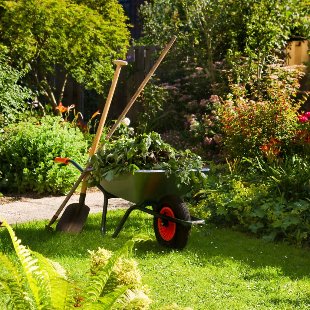 Outils de jardinage et brouette dans un jardin ensoleillé Brouette de jardin pleine de feuilles avec des outils de jardinage sur l'herbe d'un jardin fleuri et ensoleillé.