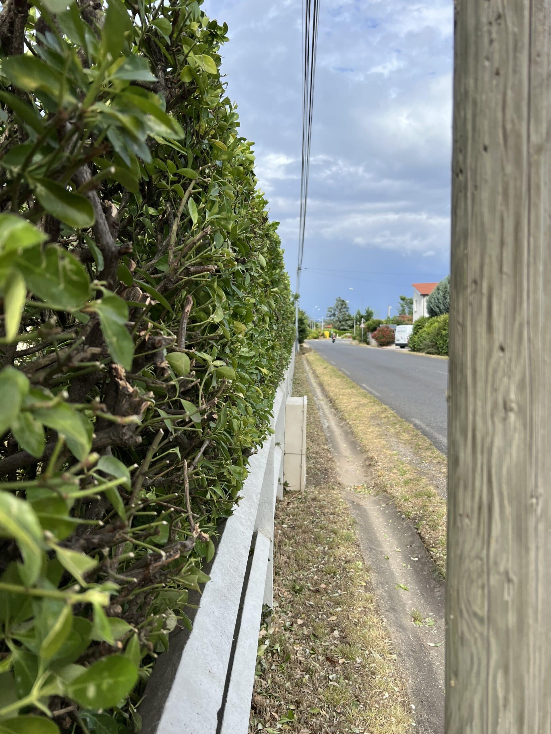 Haie verdoyante taillée sur clôture blanche bordant une route de campagne sous un ciel nuageux.